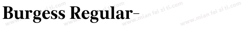 Burgess Regular字体转换